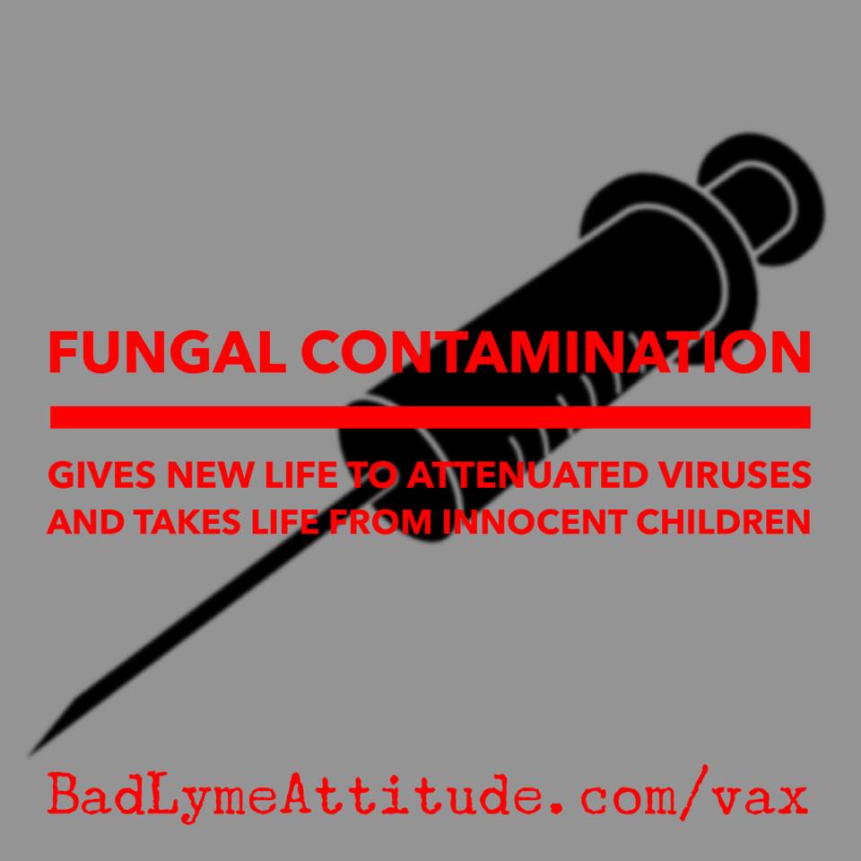 Connect the Dots, Vaccine&nbsp;Edition