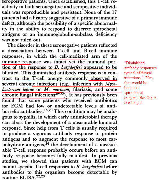 Image courtesy of www.actionlyme.org