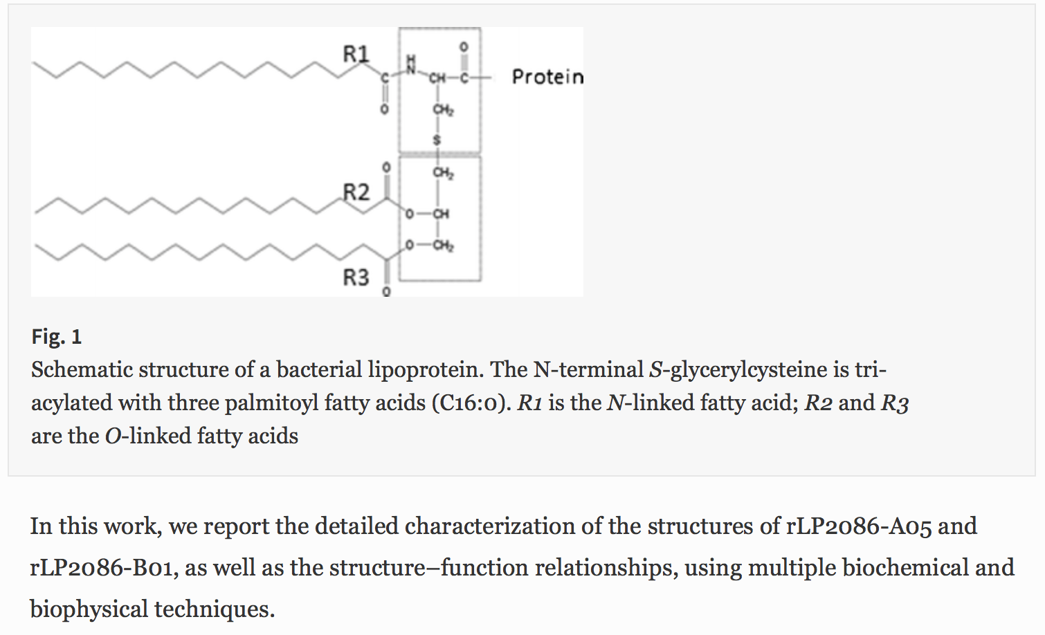 Screen Shot 2017-03-16 at 11.24.59 AM